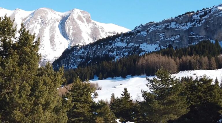 Découvrez La Joue du Loup : Une station de ski idéale pour des vacances d’hiver inoubliables