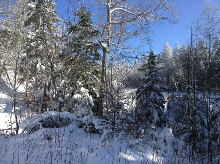 Station de ski Prat Peyrot – Mont Aigoual